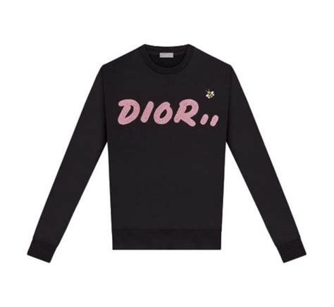 kaws x dior replica